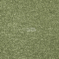 Ковролин AW Kiama 24 фото 1 | FLOORDEALER