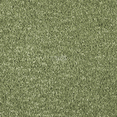 AW Kiama 24 фото 1 | FLOORDEALER