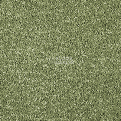 Ковролин AW Kiama 24 фото 1 | FLOORDEALER