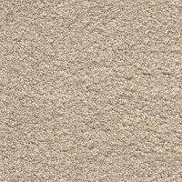 Ковролин AW Invictus Orion 30 фото 1 | FLOORDEALER