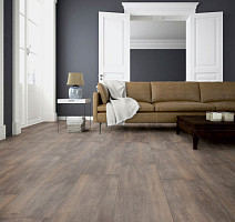 Terhurne Trend Line 243мм 1972 Дуб Дымчато - Серый 1101021711 фото 3 | FLOORDEALER