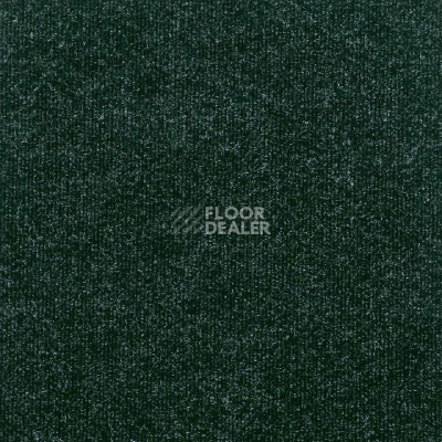 Ковролин Tarkett Meridian Meridian 1197 фото 1 | FLOORDEALER