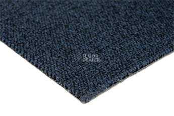 Romeo Park 559 фото 5 | FLOORDEALER