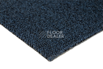 Standard Carpets Romeo Park 559 фото 5 | FLOORDEALER