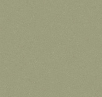 Линолеум Grabo Silver Knight Acoustic 7 455_863-7246 фото 1 | FLOORDEALER