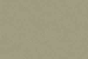 Линолеум Grabo Silver Knight Acoustic 7 455_863-7246 фото  | FLOORDEALER