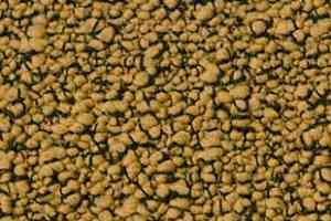 Ковровая плитка Desso Fields 6011 фото  | FLOORDEALER