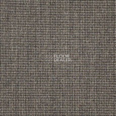Ковролин Carpet Concept Eco 500 6951 фото 1 | FLOORDEALER