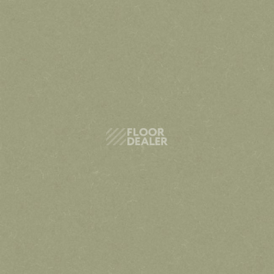 Линолеум Grabo Silver Knight Acoustic 7 455_863-7246 фото 1 | FLOORDEALER