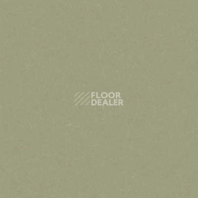 Линолеум Grabo Silver Knight Acoustic 7 455_863-7246 фото 1 | FLOORDEALER