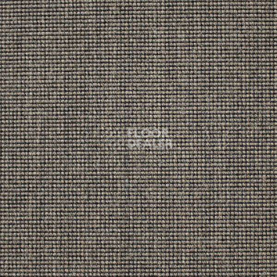 Ковролин Carpet Concept Eco 500 6951 фото 1 | FLOORDEALER