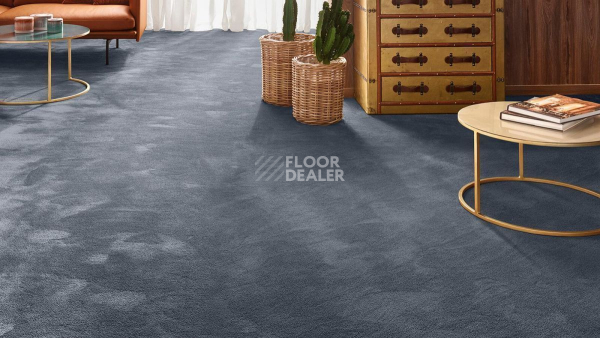 Vorwerk Exclusive 1060 Safira 3q47 фото 2 | FLOORDEALER
