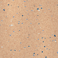 Линолеум Polyflor Mystique Pur 3500 фото 1 | FLOORDEALER