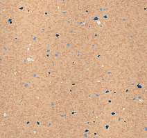 Линолеум Polyflor Mystique Pur 3500 фото 1 | FLOORDEALER