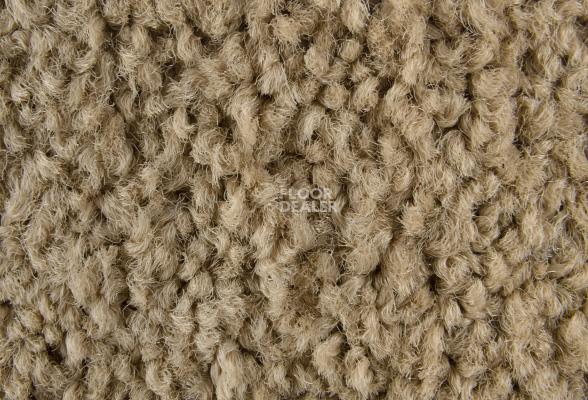 ColorKey ColorKey 05 фото 2 | FLOORDEALER