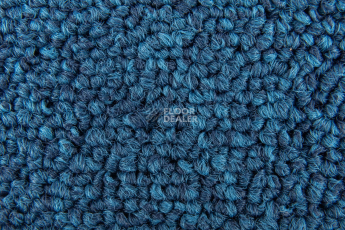 Standard Carpets Spectrum sm 556 фото 3 | FLOORDEALER