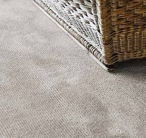 Jacaranda Carpets Rampur