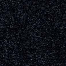 Ковролин Balsan First Class 999 фото 1 | FLOORDEALER