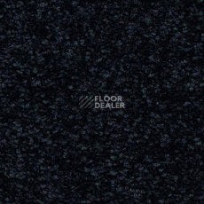 Ковролин Balsan First Class 999 фото 1 | FLOORDEALER