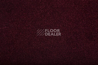 Ковролин Condor Masquerade Charme 20 фото 1 | FLOORDEALER