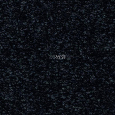 Balsan First Class 999 фото 1 | FLOORDEALER