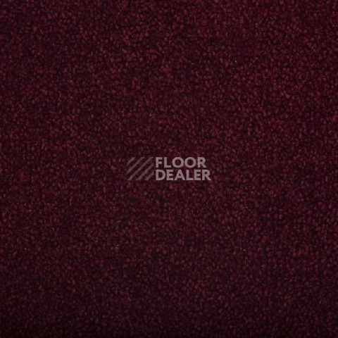 Ковролин Condor Masquerade Charme 20 фото 1 | FLOORDEALER