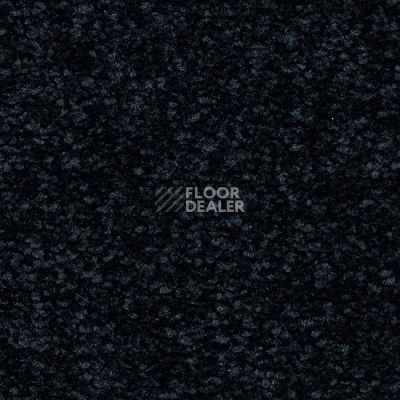 Ковролин Balsan First Class 999 фото 1 | FLOORDEALER