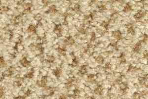 Ковролин Balsan Tango Tango 320 фото  | FLOORDEALER