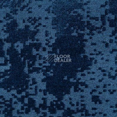 Ковролин 2640 380 фото 1 | FLOORDEALER