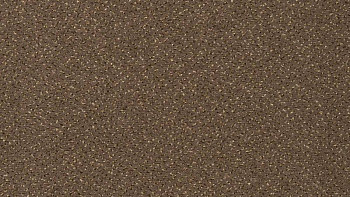 Ковролин Vorwerk Passion 1006 Vorwerk 7f91 фото 1 | FLOORDEALER