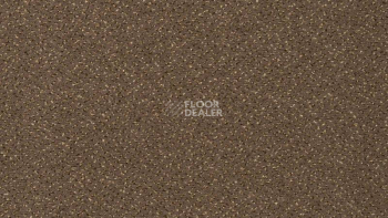 Ковролин Vorwerk Passion 1006 Vorwerk 7f91 фото 1 | FLOORDEALER
