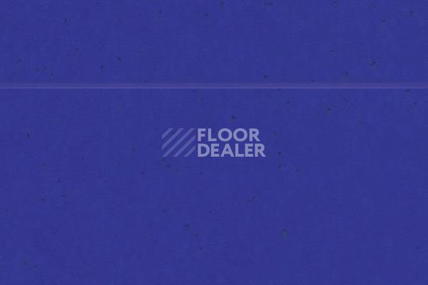 Линолеум Forbo Sphera Energetic 50240 Yves Klein blue фото 1 | FLOORDEALER