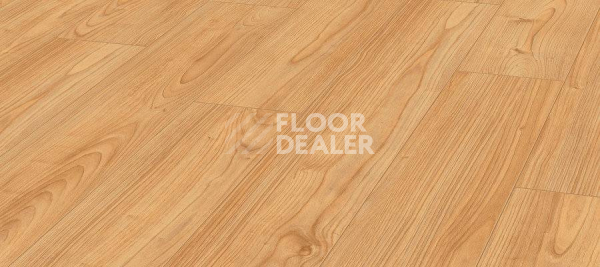 Ламинат Kronotex Robusto 12мм d4720 Кастанеа фото 1 | FLOORDEALER