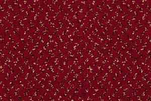 Ковролин Vorwerk Passion 1047 Vorwerk 1n16 фото  | FLOORDEALER