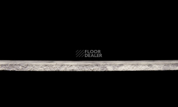 Tarkett Primo Plus 316 фото 3 | FLOORDEALER