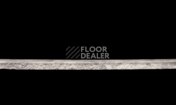 Tarkett Primo Plus 316 фото 3 | FLOORDEALER