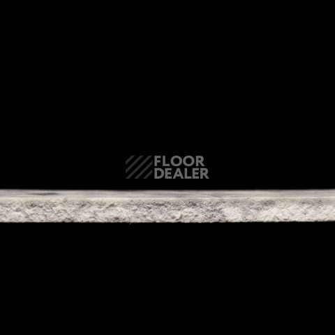 Tarkett Primo Plus 316 фото 3 | FLOORDEALER