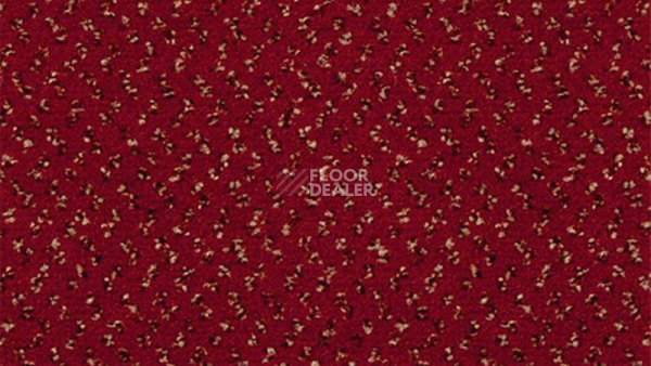 Ковролин Vorwerk Passion 1047 Vorwerk 1n16 фото 1 | FLOORDEALER