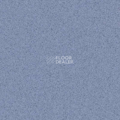 Линолеум Tarkett Primo Plus 309 фото 1 | FLOORDEALER