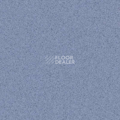 Линолеум Tarkett Primo Plus 309 фото 1 | FLOORDEALER