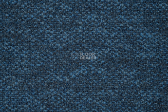 Haima Coral 23 фото 2 | FLOORDEALER