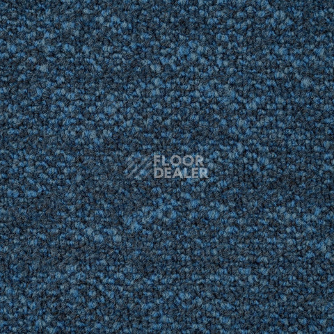 Haima Coral 23 фото 2 | FLOORDEALER