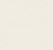 Керамогранит Pietra di Luna 45 x 90 Blanc Naturale Ret. 45x90 фото 1 | FLOORDEALER