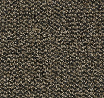 Грязезащитные покрытия Forbo Coral Marine FR 4204 Santos Brown фото 1 | FLOORDEALER