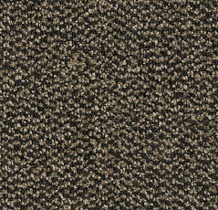 Forbo Coral Marine FR 4204 Santos Brown фото 1 | FLOORDEALER