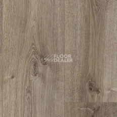 Parador Basic Plus 600 XS 1744354 Дуб Valere Темно-известковый фото 2 | FLOORDEALER