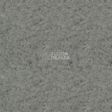 Линолеум Lg Delight DLT9109 фото 1 | FLOORDEALER