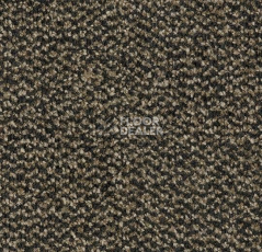 Грязезащитные покрытия Forbo Coral Marine FR 4204 Santos Brown фото 1 | FLOORDEALER