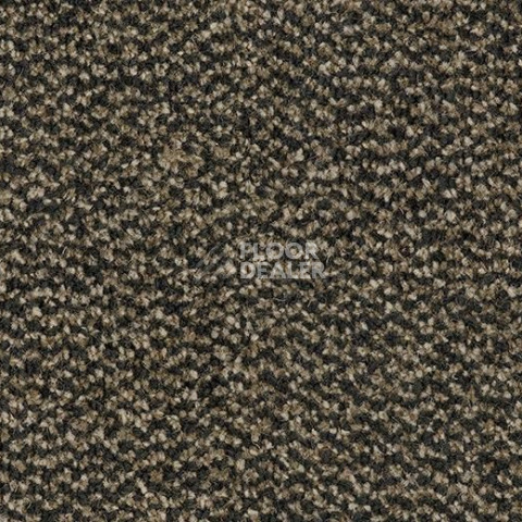 Грязезащитные покрытия Forbo Coral Marine FR 4204 Santos Brown фото 1 | FLOORDEALER