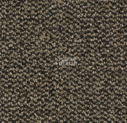 Грязезащитные покрытия Forbo Coral Marine FR 4204 Santos Brown фото 1 | FLOORDEALER